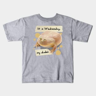 It is Wednesday my Dudes V3 Kids T-Shirt